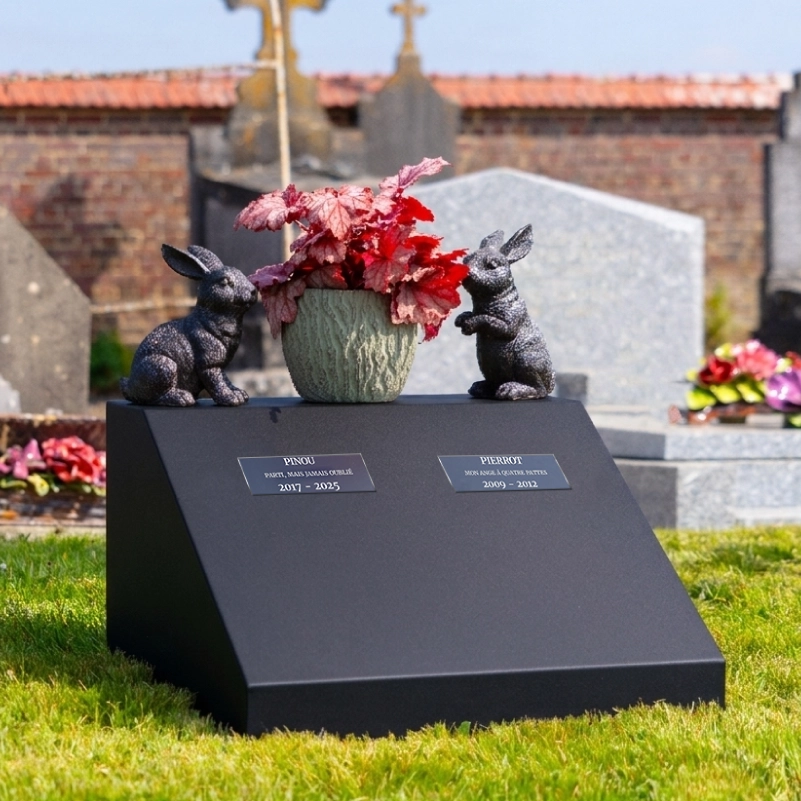 Alternys, monument funéraire pour animaux marron cortene en situation