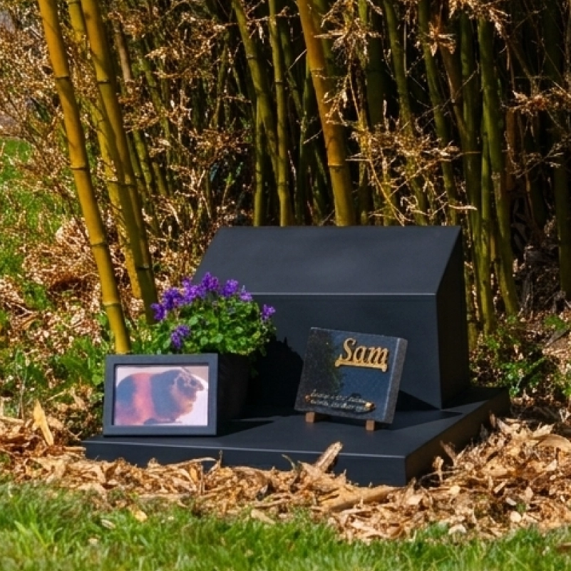 Neom, monument funéraire pour animaux