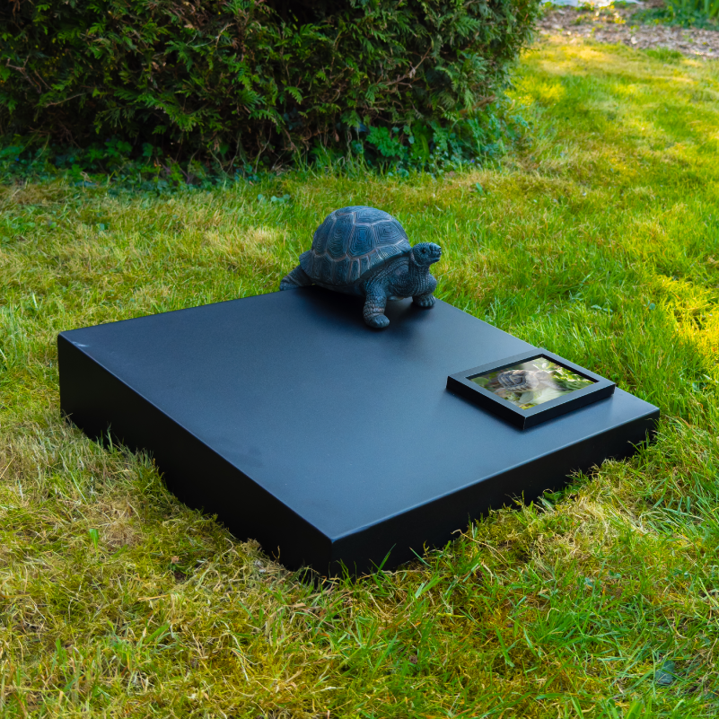 Omage, couvercle de cavurne en situation dans l'herbe.