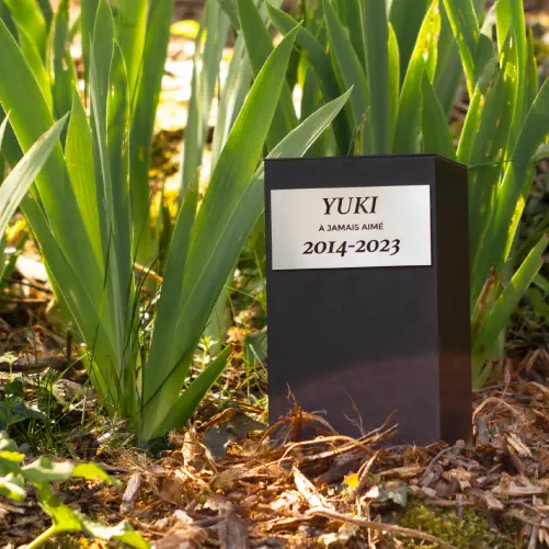 Perpetua, cache urne cinéraire pour animaux en situation dans le jardin