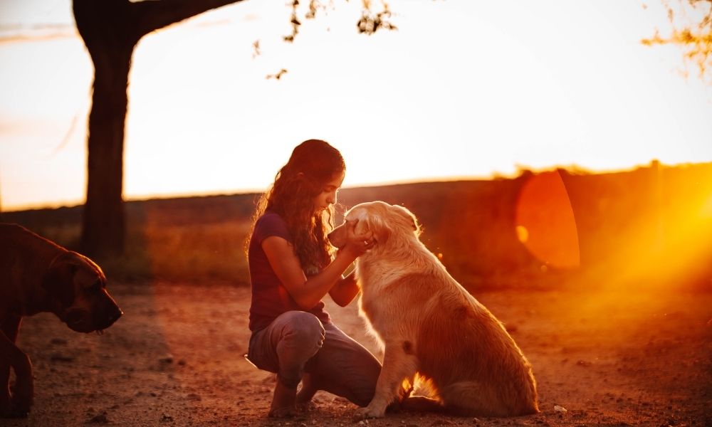 Reconnaitre sa peine pour faire le deuil de son animal