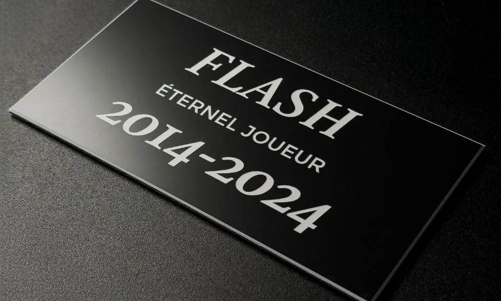 Plaqué mémoire pour chien joueur