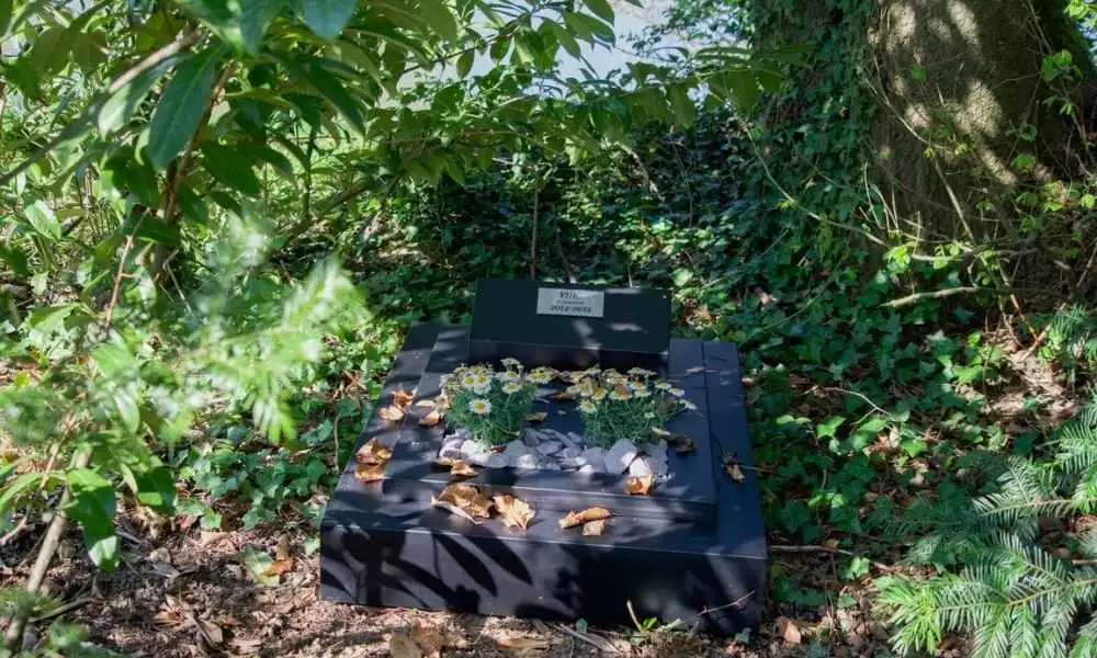 Un monument durable pour les cendres de votre animal de compagnie