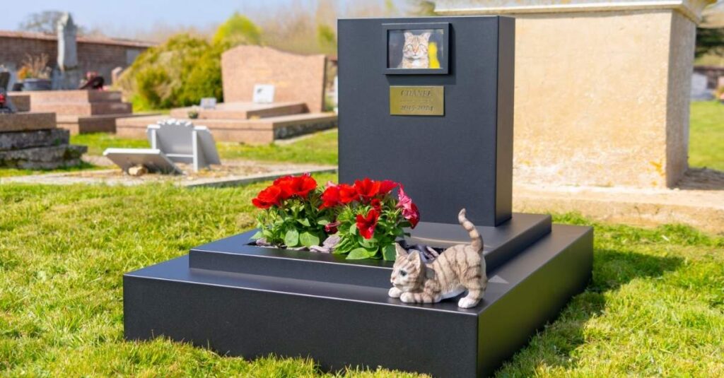 Comment surmonter le deuil de son animal de compagnie ?