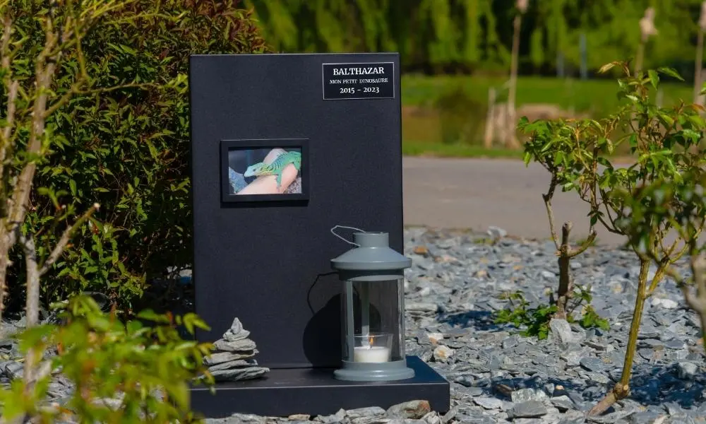 Monument Memorya pour tous les animaux