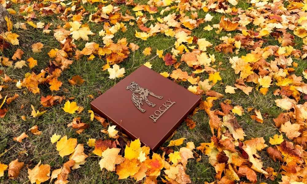 Une plaque sans stèle en mémoire de son animal décédé