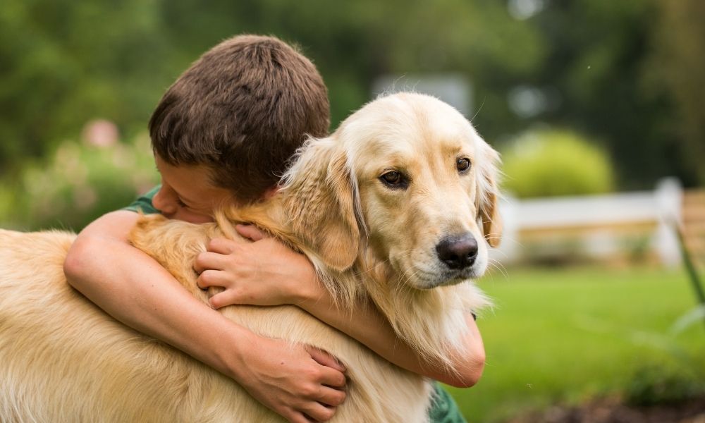 Comment l'enfant vit le deuil de son animal de compagnie ?