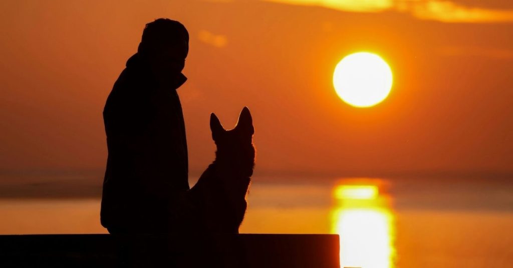 Dire au revoir à son chien et choisir l'incinération pour ses obsèques