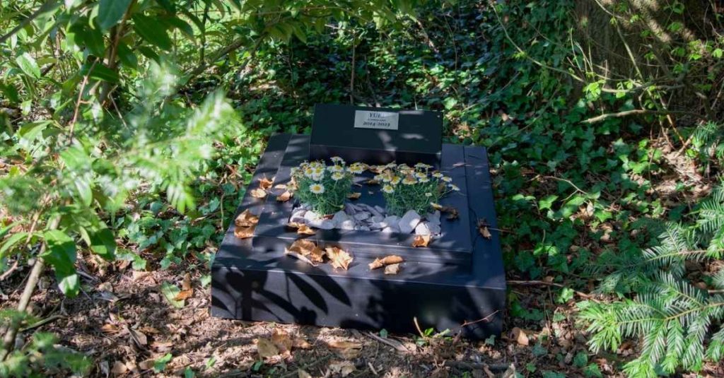 Hommage à son animal de compagnie : des idées pour honorer sa mémoire chez soi, dans son jardin ou dans ses habitudes